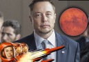 The Incredible Journey of Elon Musk