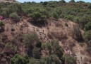 The 7k Ranch Trail Run at the 2016 Reebok CrossFit Games.