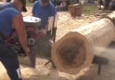 The most powerful chainsaws in the world!