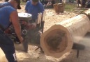 The most powerful chainsaws in the world!
