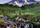 The Mount Rainier National Park, Washington, USA
