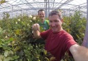 The Netherlands: Deaf Horticulturist