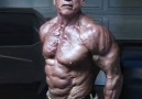 The One and ONLY Arnold Schwarzeneggervia- Shredded Union