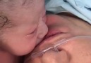 The precious moment of life. Newborn is giving love to mother.
