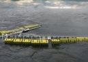 There are so many cool ways to generate electricity from the ocean!
