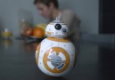 The Remote-Controlled BB-8 Toy Is Ridiculously Cool