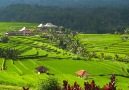 Theres so many must-see locations in Bali!