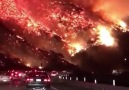 The scene in California is straight out of a movie