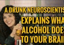 The science behind getting drunk. (via Inverse)