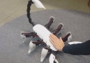 These animal-based robots can trick anyone into thinking they&real..