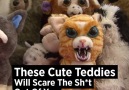 These Cute Teddies Will Scare The Shit Out Of You