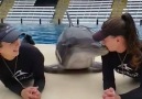 These dolphin kisses