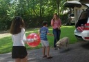 These families thought theyd never see their lost dogs again until now