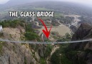These glass bridges in China are terrifying!
