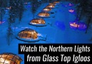 These Glass Top Igloos Look So Relaxing!