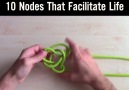 These KNOTS may come in handy Credit SkyBek