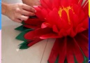 These paper flowers look almost real