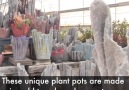 These plant pots are so unusual