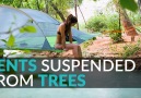 These tents are suspended from trees