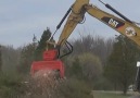 These trees become mulch in just a few seconds.