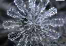 These up-close photos of snowflakes are incredibly fascinating