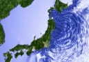 The Spread of 2011 Tōhoku Tsunami Acorss the Pacific