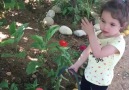 The sweetest gardeners - Susam Sokağı Kreş Ve Gündüz Bakım Evi