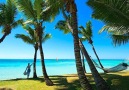 The tropical island of Mauritius looks like paradise