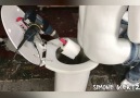 The Ultimate Butt Wiping Robot