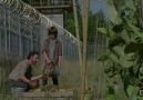 The Walking Dead S04E02