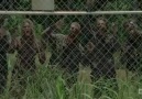 The Walking Dead S4.e1