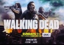 TheWalkingDead-S8 Ep9-İlk Bakış ) İyi Seyirler )TheWalkingDead