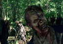 The Walking Dead Trailer Staffel 5 - Never Let Your Guard Down