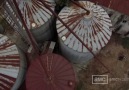 The Walking Dead  3X13 Tüm Fragmanlar
