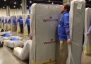 The World’s Longest Human Domino Mattress Chain