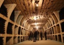The World's Biggest Wine Cellar  Outspeak
