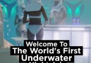 The World's First Underwater Nightclub