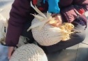 They created incredible crafts from corn husks