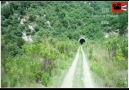 - they entered a road tunnel with endless loop can they come out alive