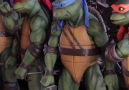 This action figure display is turtle-tastic