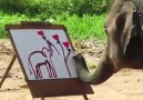 This amazing elephant can paint!!!