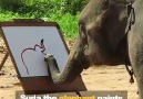 This amazing elephant can paint!!! Credit storyful