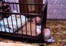 This baby is a genius!