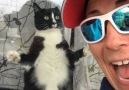 This cat has a very special way of greeting the postwoman