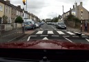 This Cat Is Using A Zebra Crossing