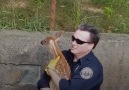This crying baby deer knew his mom would remember to come back for him