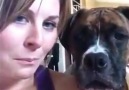 This dog does not care for your selfies