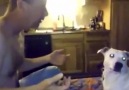 This dog is COMPLETELY baffled by magic