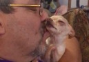 This dog will NOT let her dad stop kissing her!