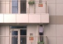 This evacuation elevator could save thousands of lives